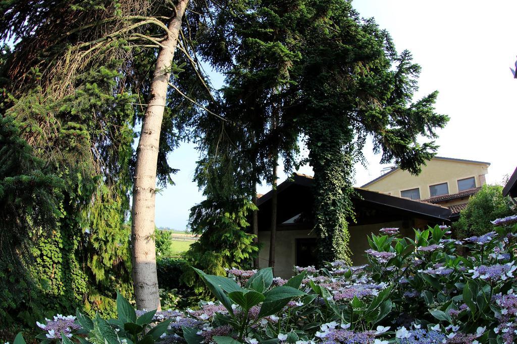 Le Soleil Villa Vigone Екстериор снимка