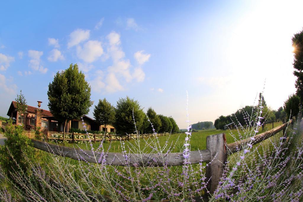 Le Soleil Villa Vigone Екстериор снимка